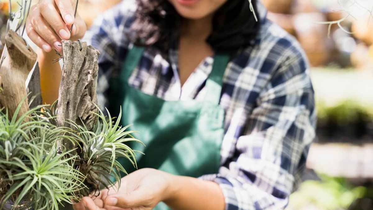 Cet été une amende de 135 euros sera infligée aux jardiniers qui gardent leur tuyau branché trop longtemps « ils nous surveillent jusqu’au robinet »