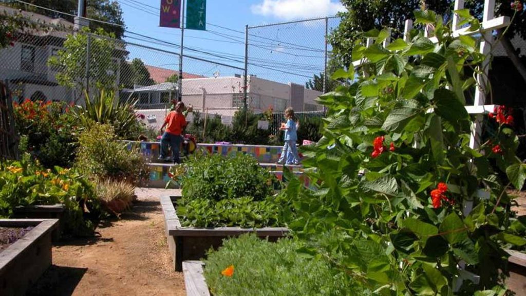 cacher son jardin