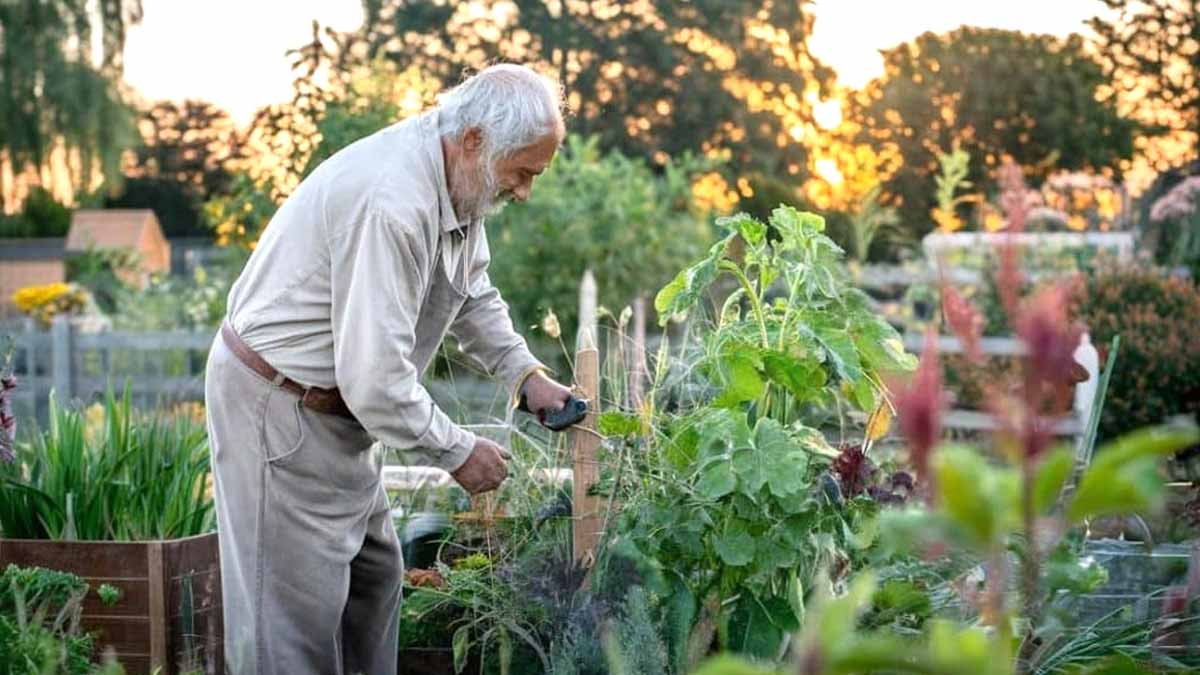 calendrier lunaire jardiner