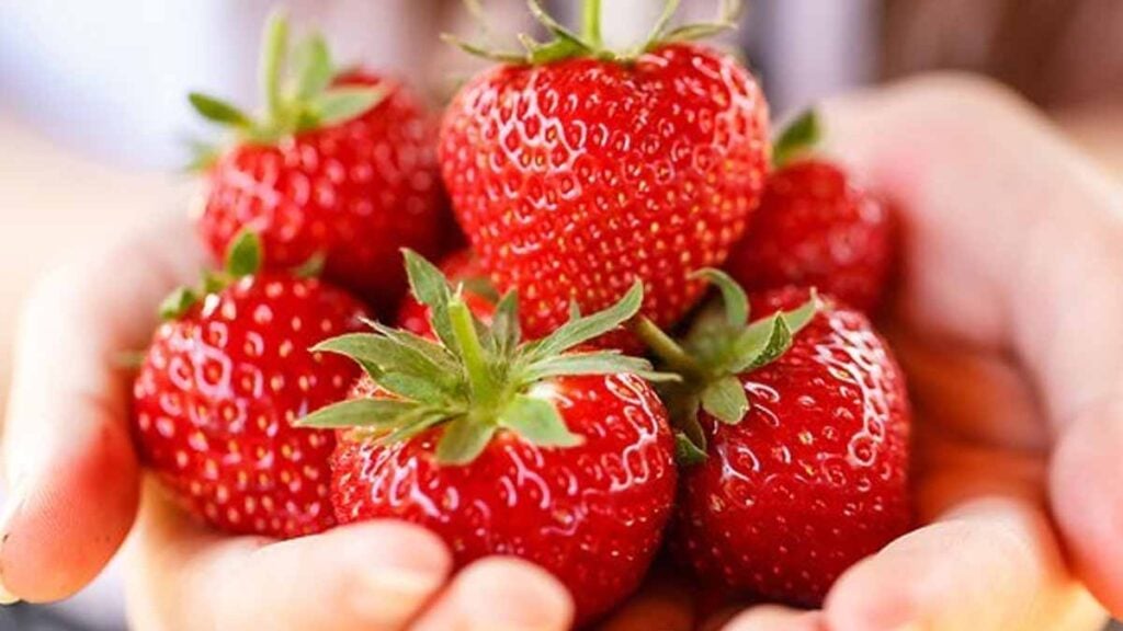 Ces fraises vendues en supermarché sont garanties sans produits chimiques