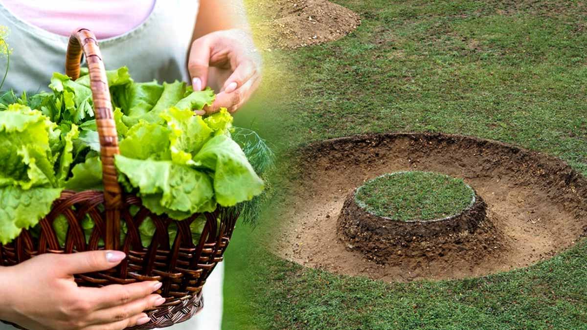 conserver les légumes de la canicule