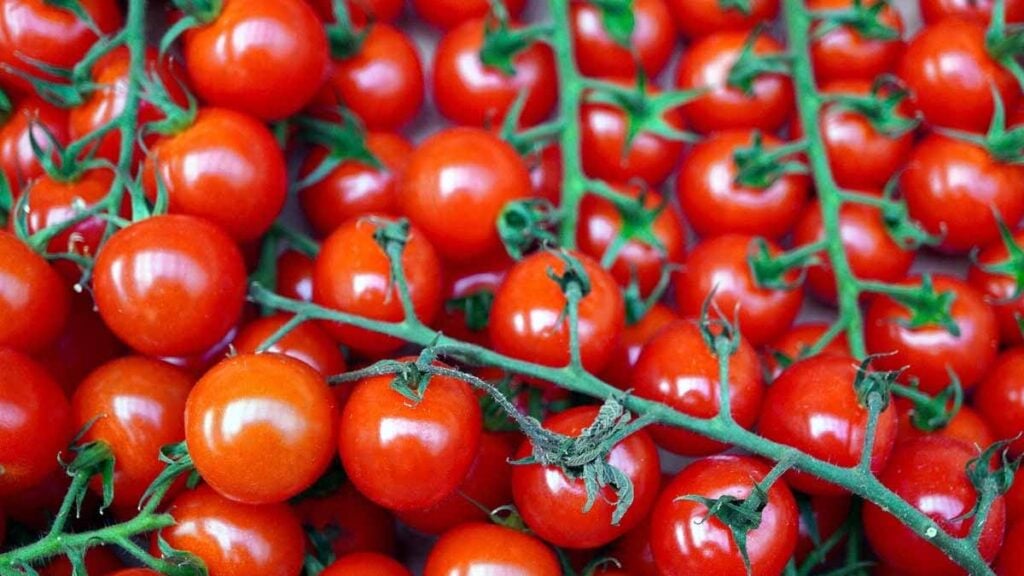 Crise au rayon légumes : une révélation d’un employé Lidl sur les tomates choque l’opinion — il prévient : « vérifie toujours ce détail précis sinon tu risques de manger du plastique sans le savoir » — une alerte qui provoque un tollé national