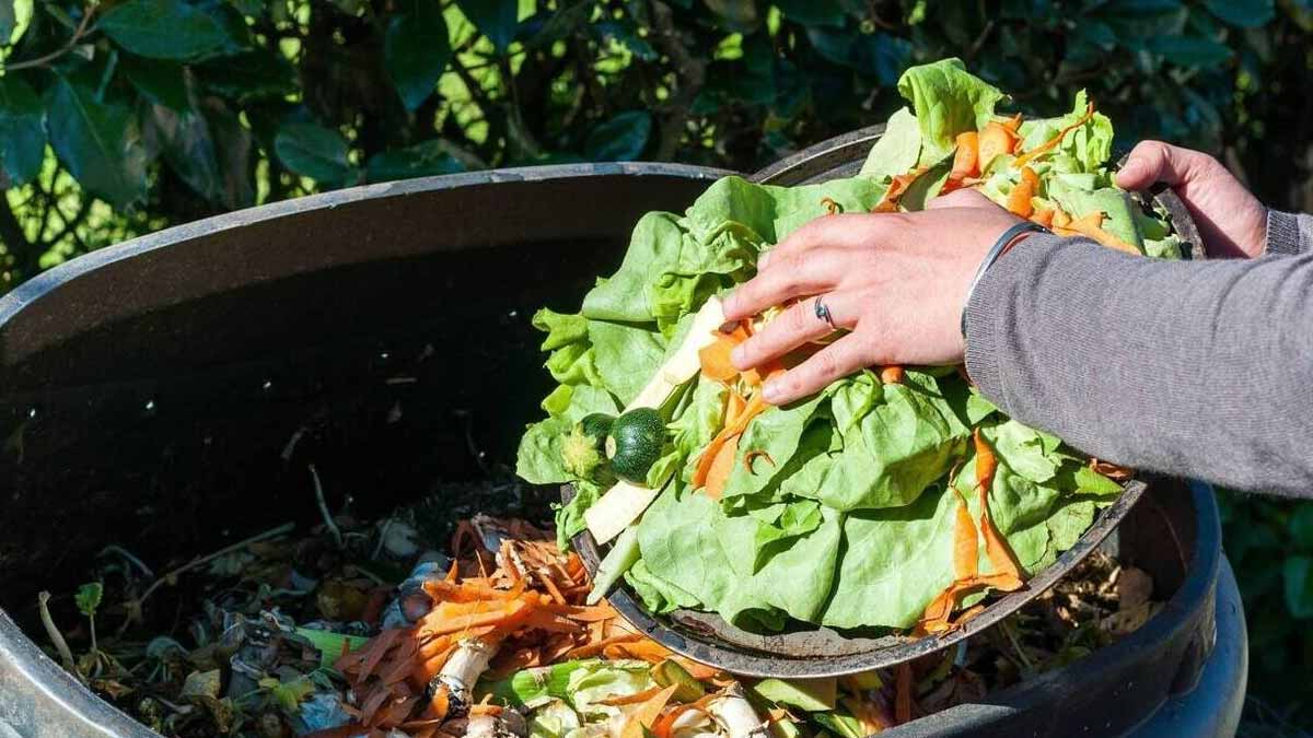 déchets d’apéritif utilisés paillis