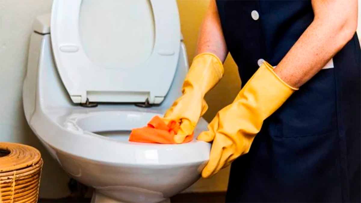 Éliminez le calcaire des toilettes en 4 min sans vinaigre ni Javel grâce à une méthode simple