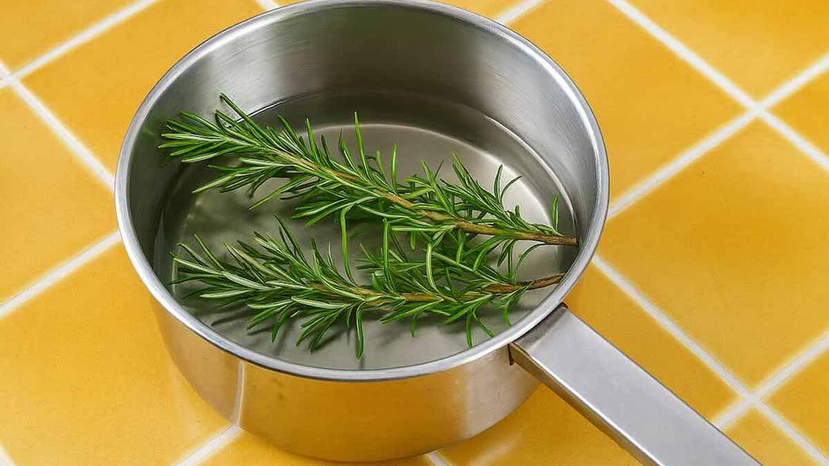 Faire bouillir du romarin chez soi : une astuce surprenante va changer votre quotidien, selon les experts