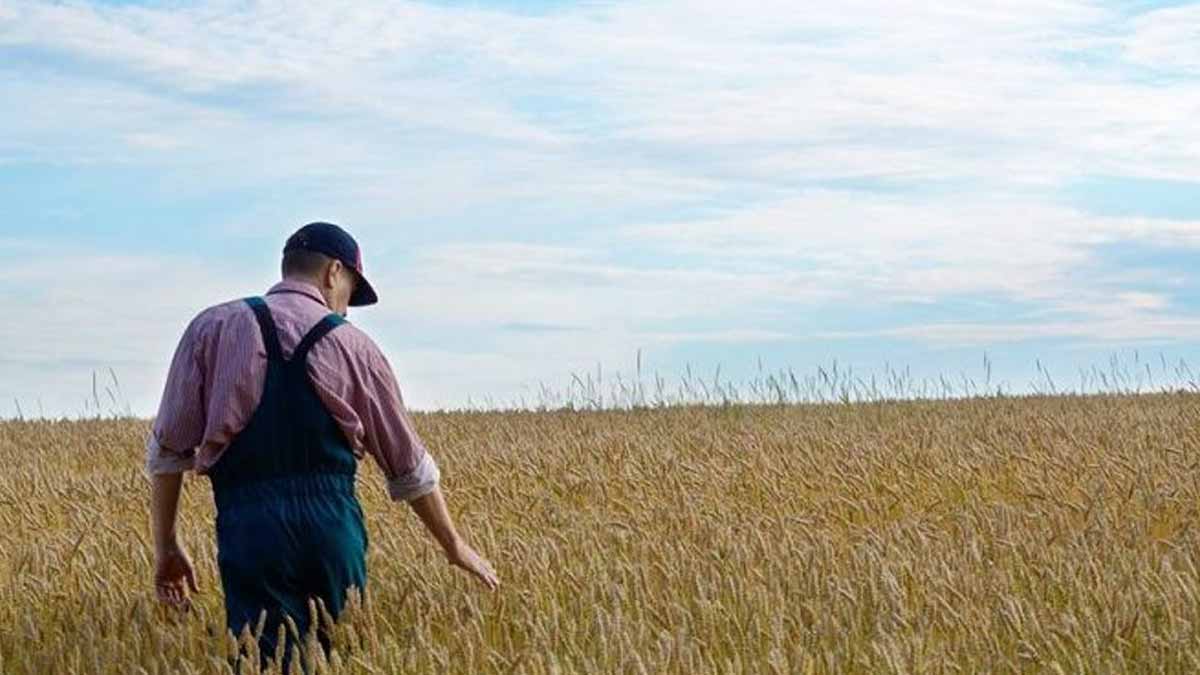 « J’ai déménagé sans signaler l’adresse » : Comment ce retraité agricole a perdu 3 ans de droits à la majoration familiale faute d’une mise à jour oubliée