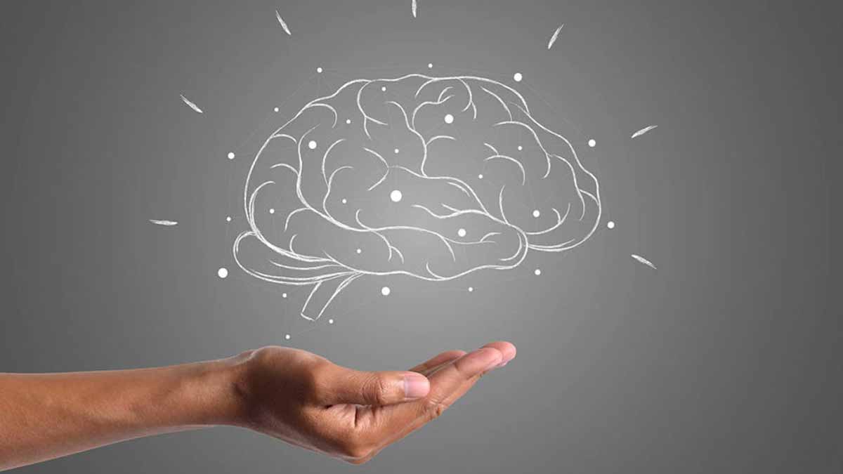 L’activité la plus puissante pour le cerveau, selon les experts : ni méditation ni lecture