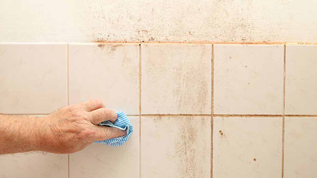 moisissure joints de salle de bain