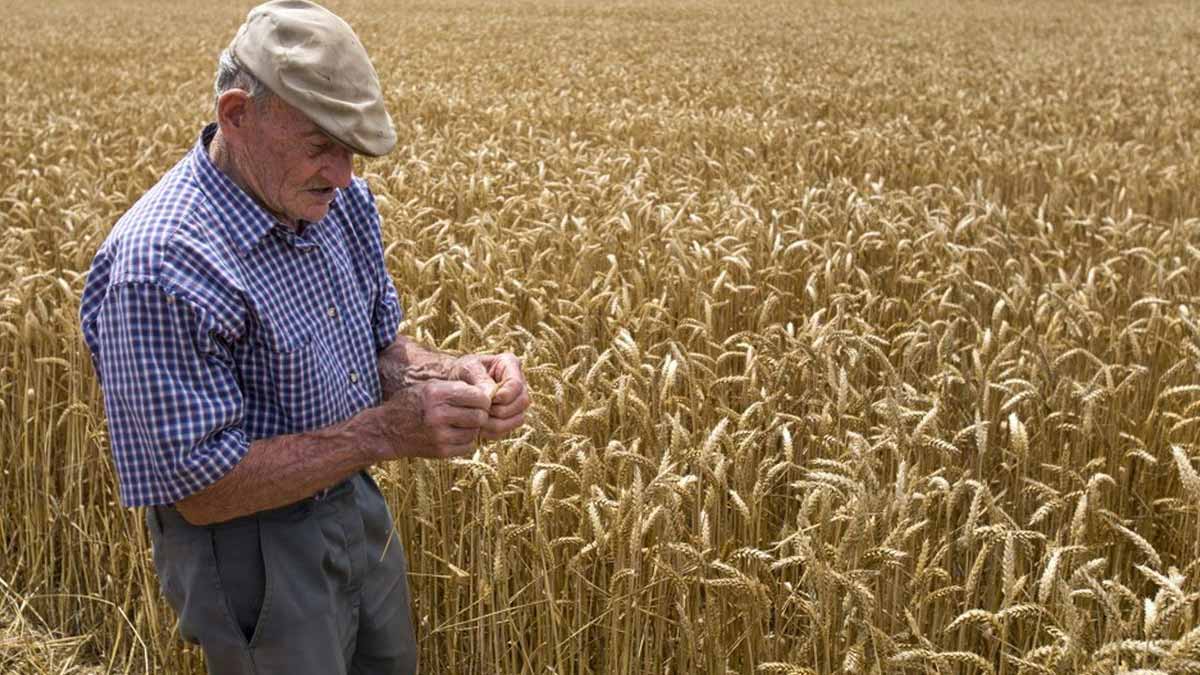omission déclaration revenus agriculteur