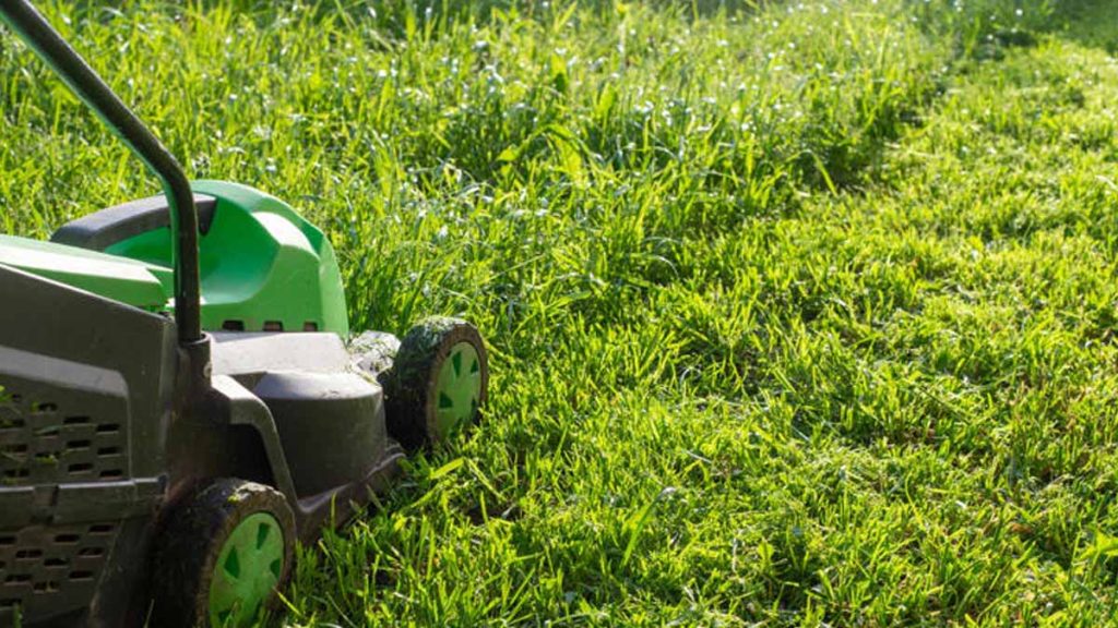 Choc en 2025 : Interdiction de Tondre la Pelouse entre Midi et 16 h — « On ne peut même plus entretenir son jardin » Provoque la Colère dans 26 Départements