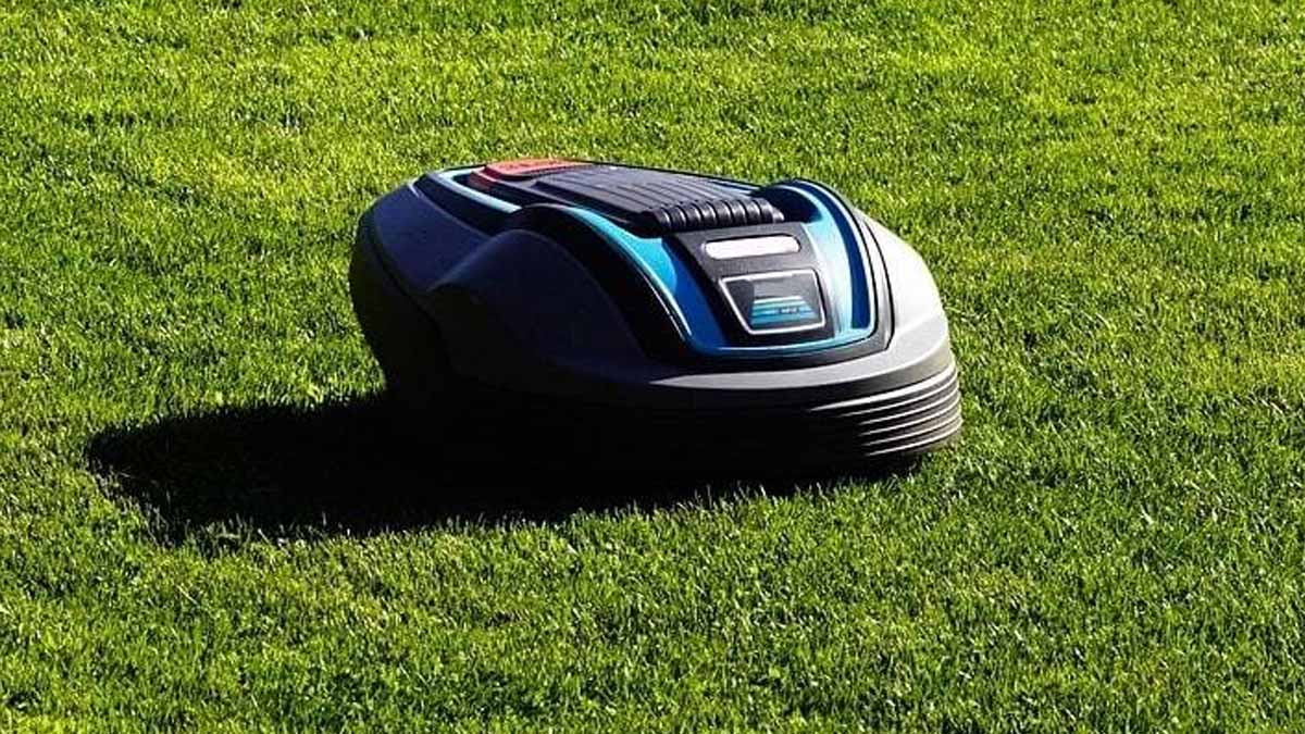 tondeuse robot